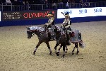 Quadrille - 00806